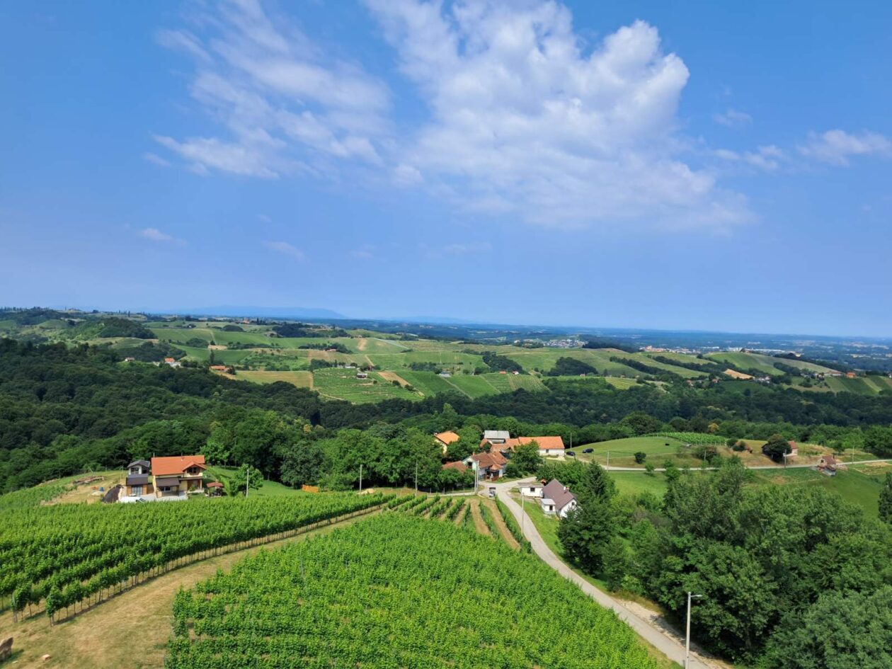 Mađerkin breg, vidikovac (5)