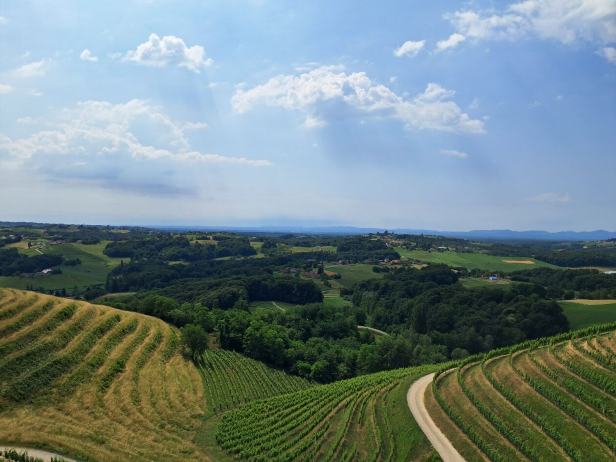 Mađerkin breg, vidikovac (7)