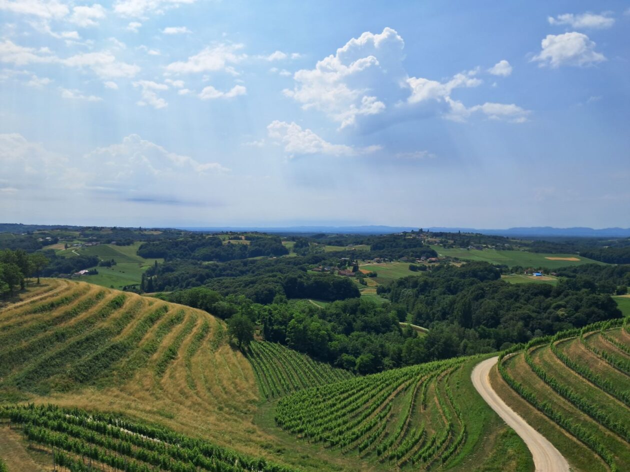 Mađerkin breg, vidikovac (9)