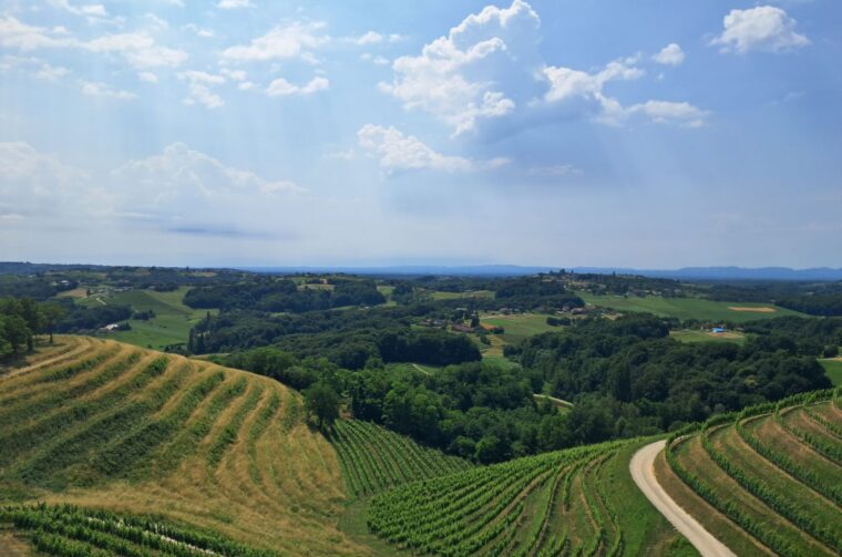 Mađerkin breg, vidikovac (9)