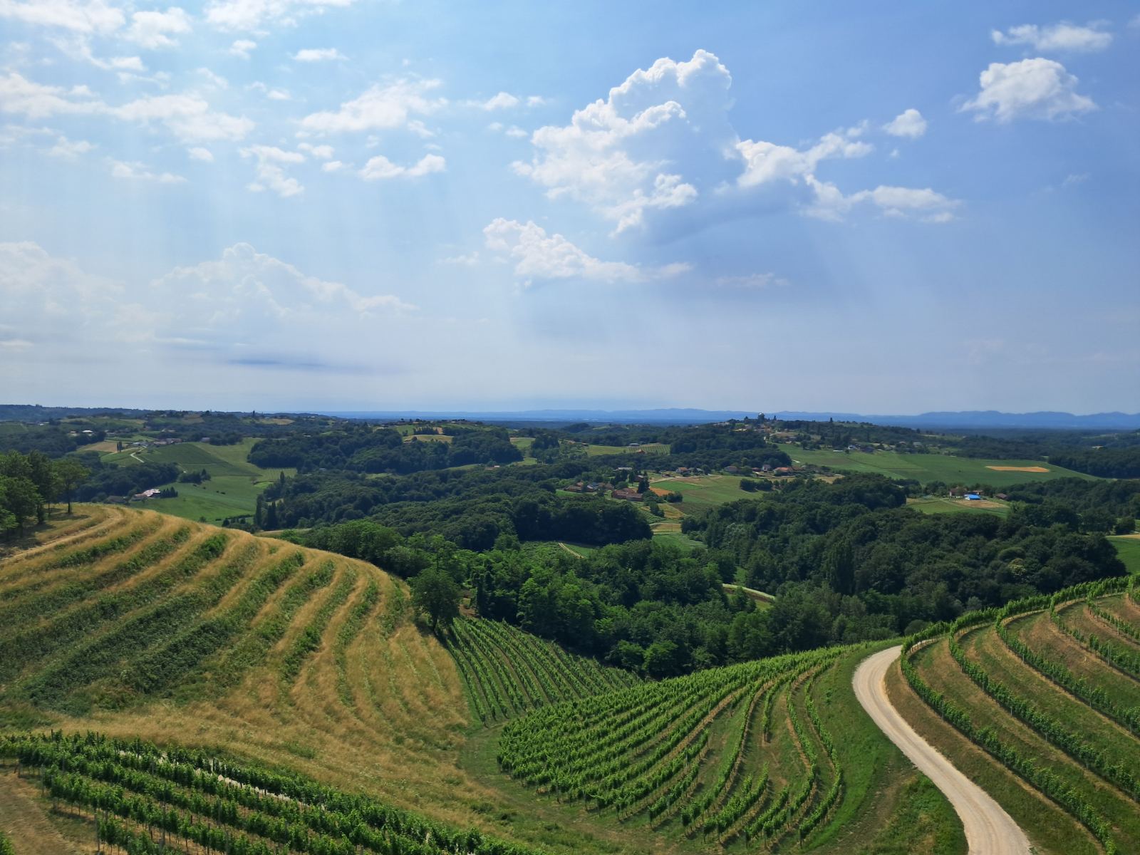 Mađerkin breg, vidikovac (9)