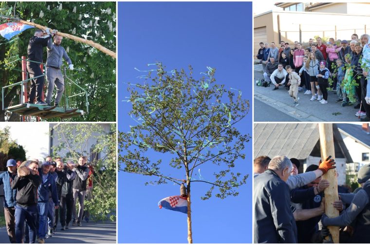 Majga Hemuševec naslovna