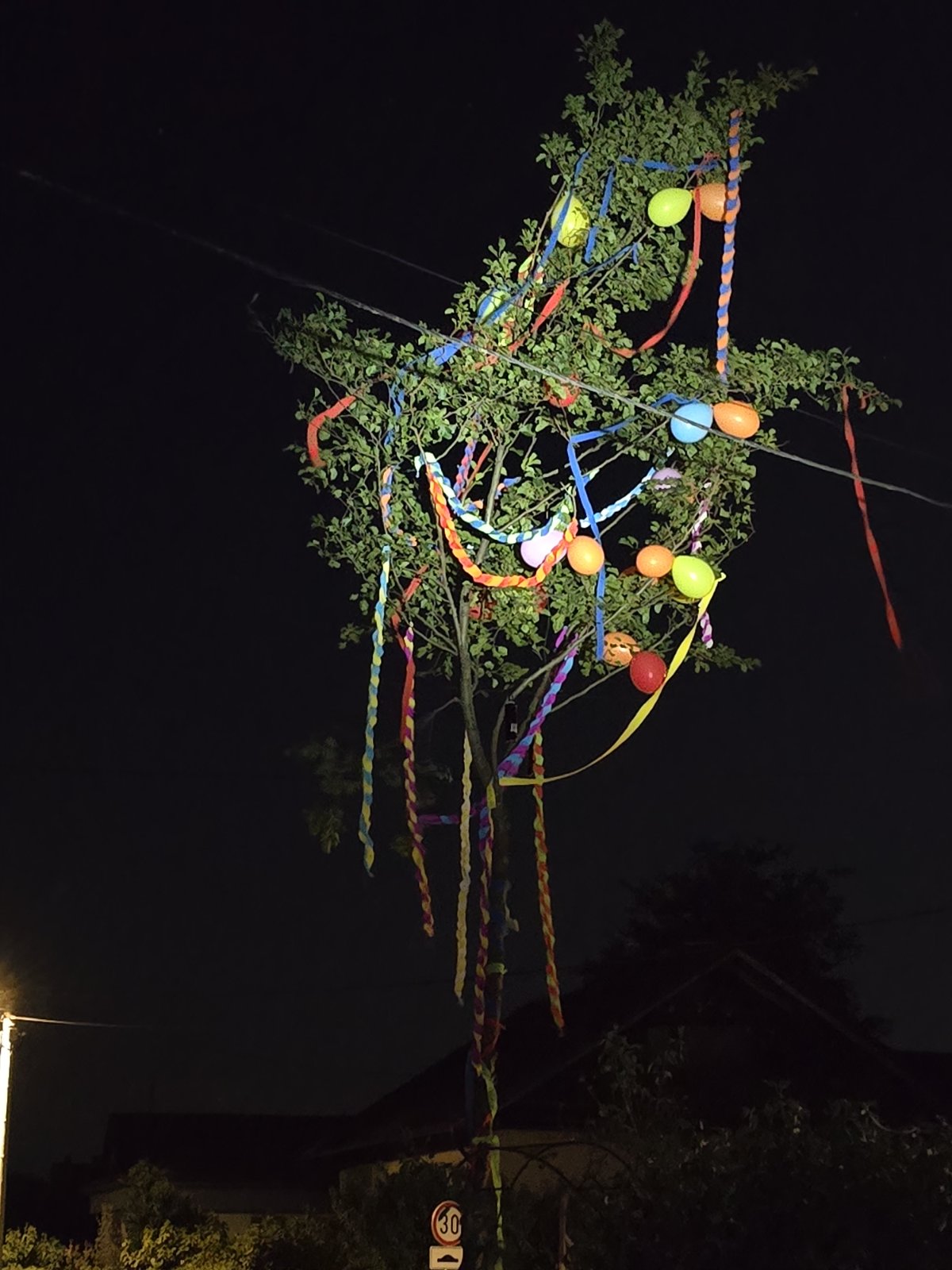 Majga u Gardinovcu, 2025, Ana i Bernard (10) Majga u Gardinovcu, 2025, Ana i Bernard (10)