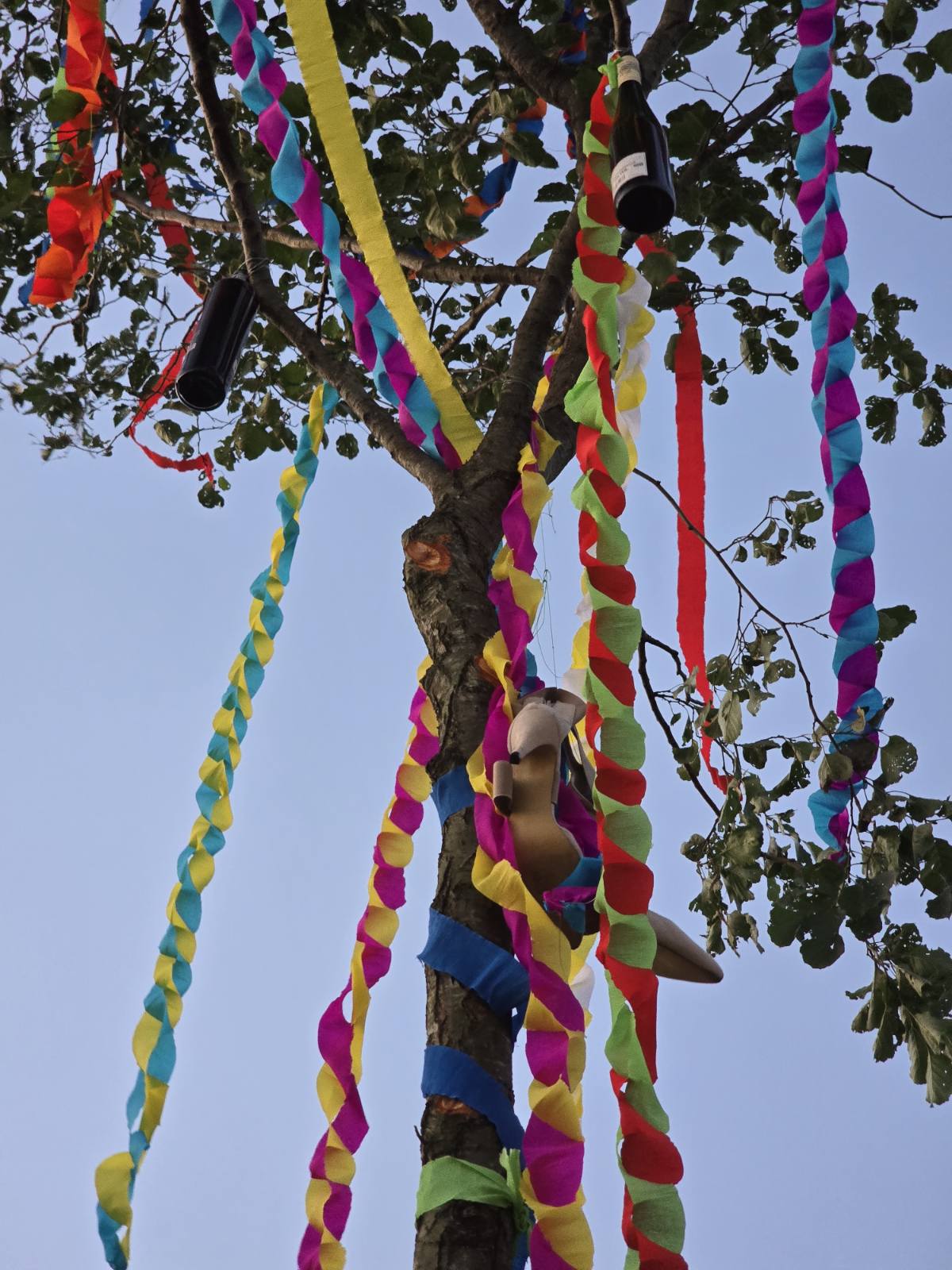 Majga u Gardinovcu, 2025, Ana i Bernard (15) Majga u Gardinovcu, 2025, Ana i Bernard (15)