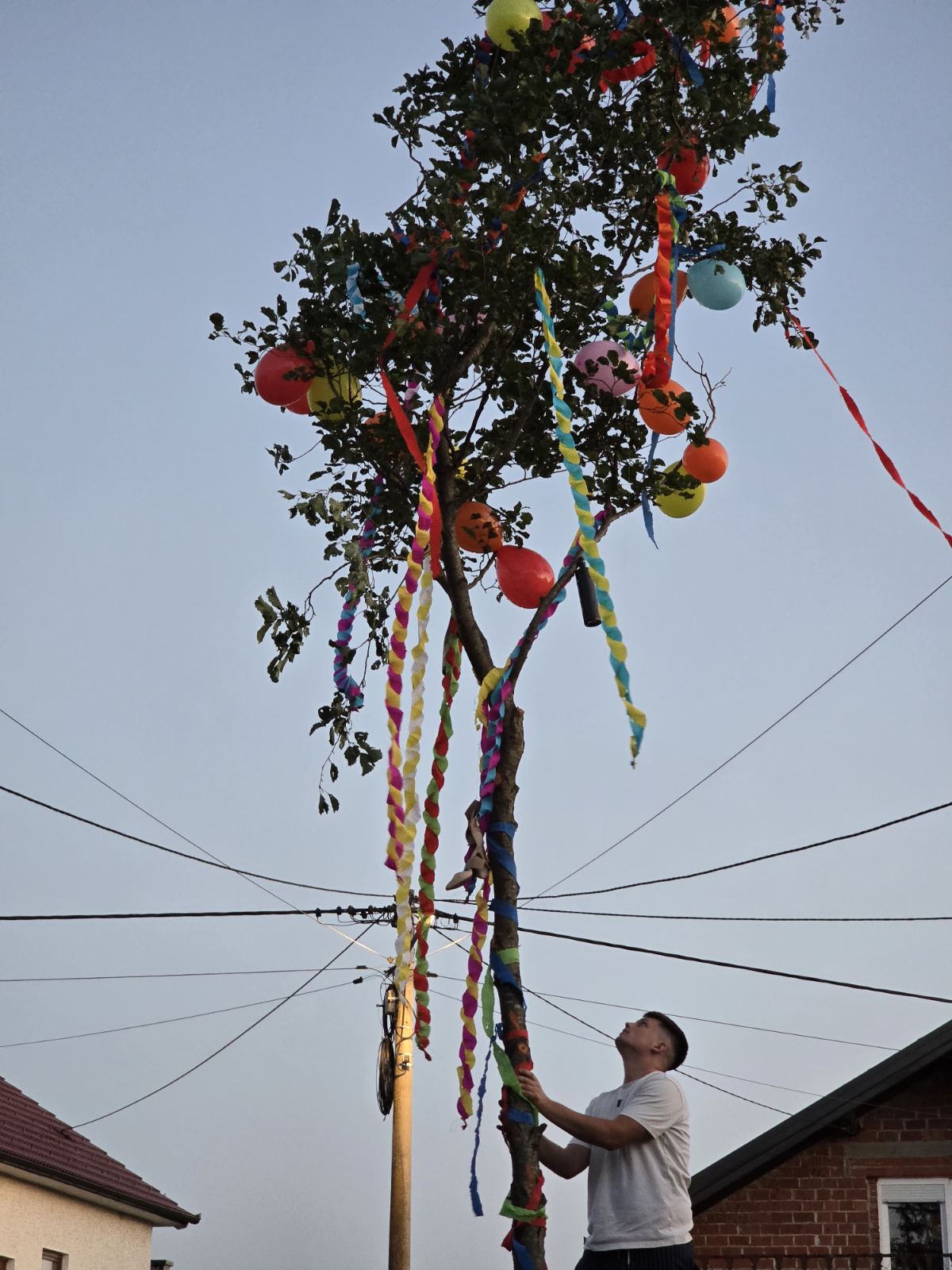 Majga u Gardinovcu, 2025, Ana i Bernard (9) Majga u Gardinovcu, 2025, Ana i Bernard (9)