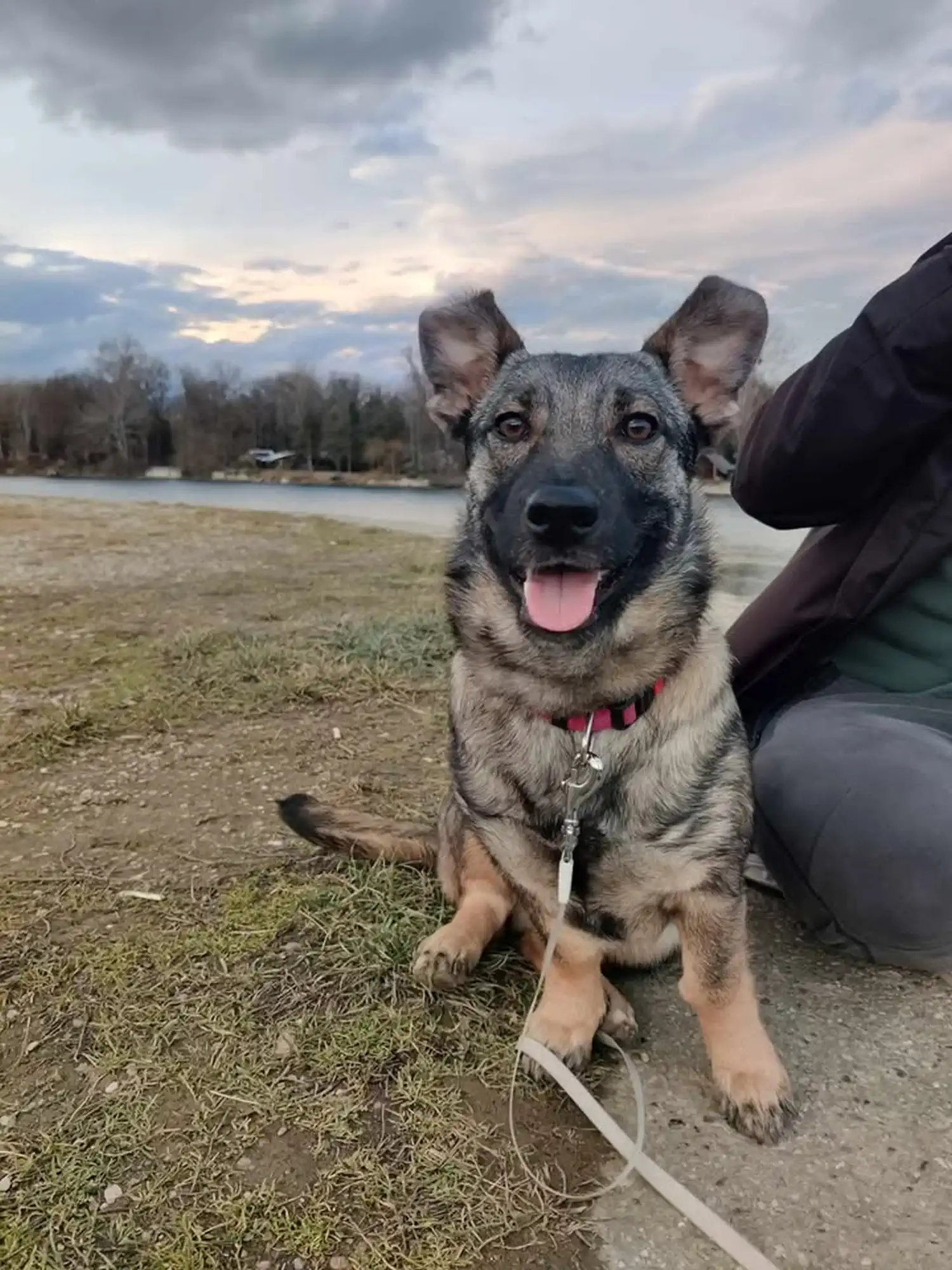 Mala Ančica iz skloništa dobila je novo ime i novi dom – postala je Varaždinka! (6) Mala Ančica iz skloništa dobila je novo ime i novi dom – postala je Varaždinka! (6)