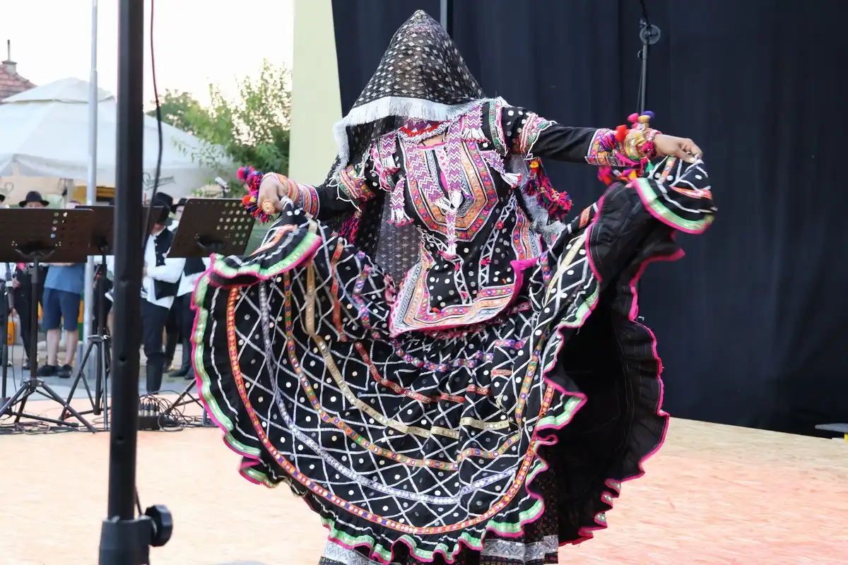 Mala Subotica – COFA festival 2024 (13) Mala Subotica – COFA festival 2024 (13)