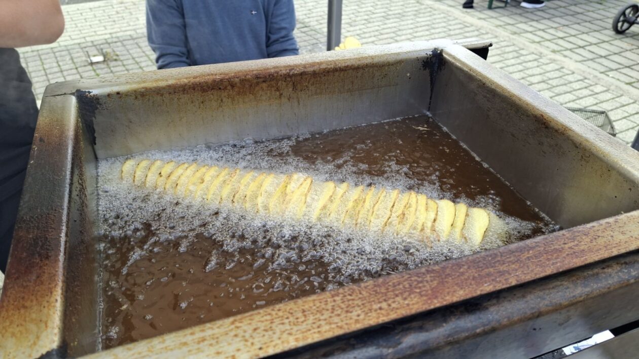 Mala Subotica eko sajam 2025 (3)