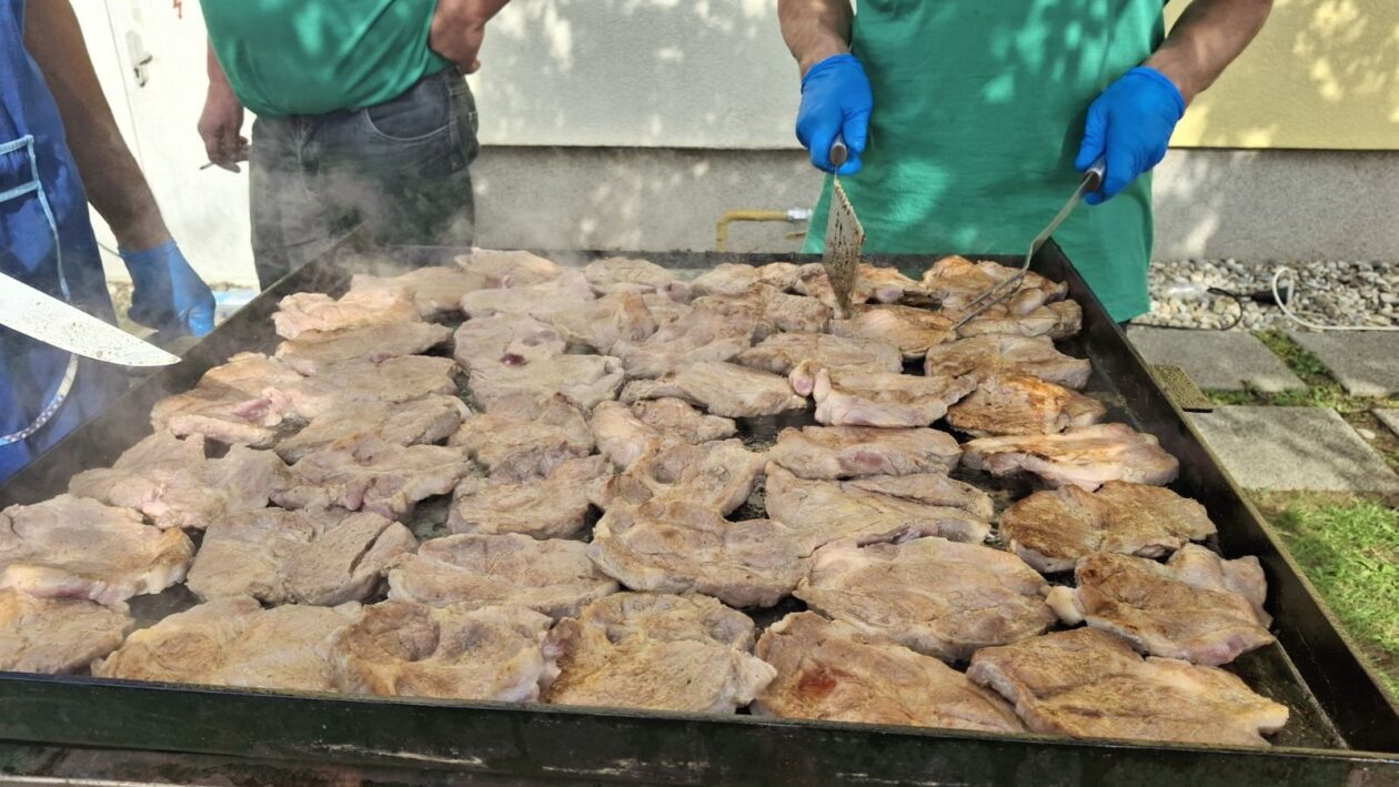 Mala Subotica eko sajam 2025 (8)