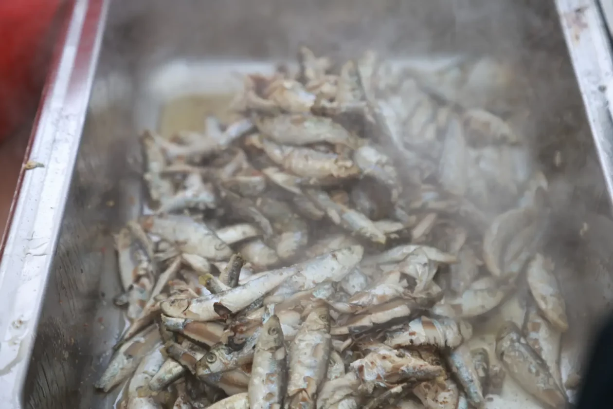 Mala Subotica podjela ribica – sveta tri kralja (22)