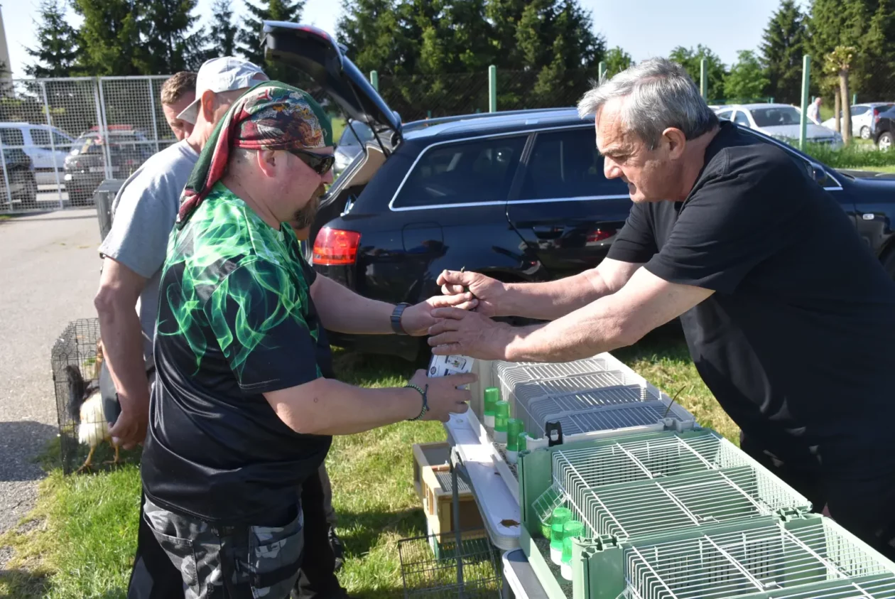 Male životinje, Mesap, Nedelišće (10)