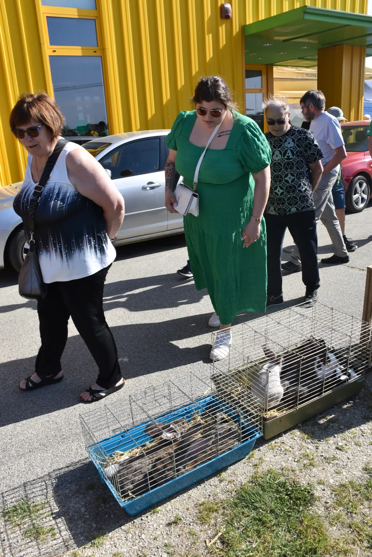 Male životinje, Mesap, Nedelišće (18)