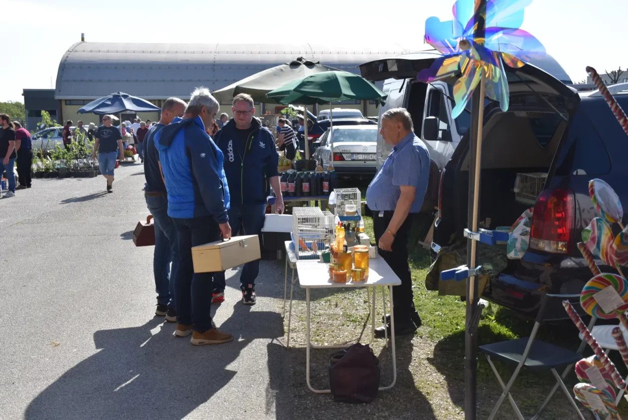 Male životinje, Mesap, Nedelišće (20)