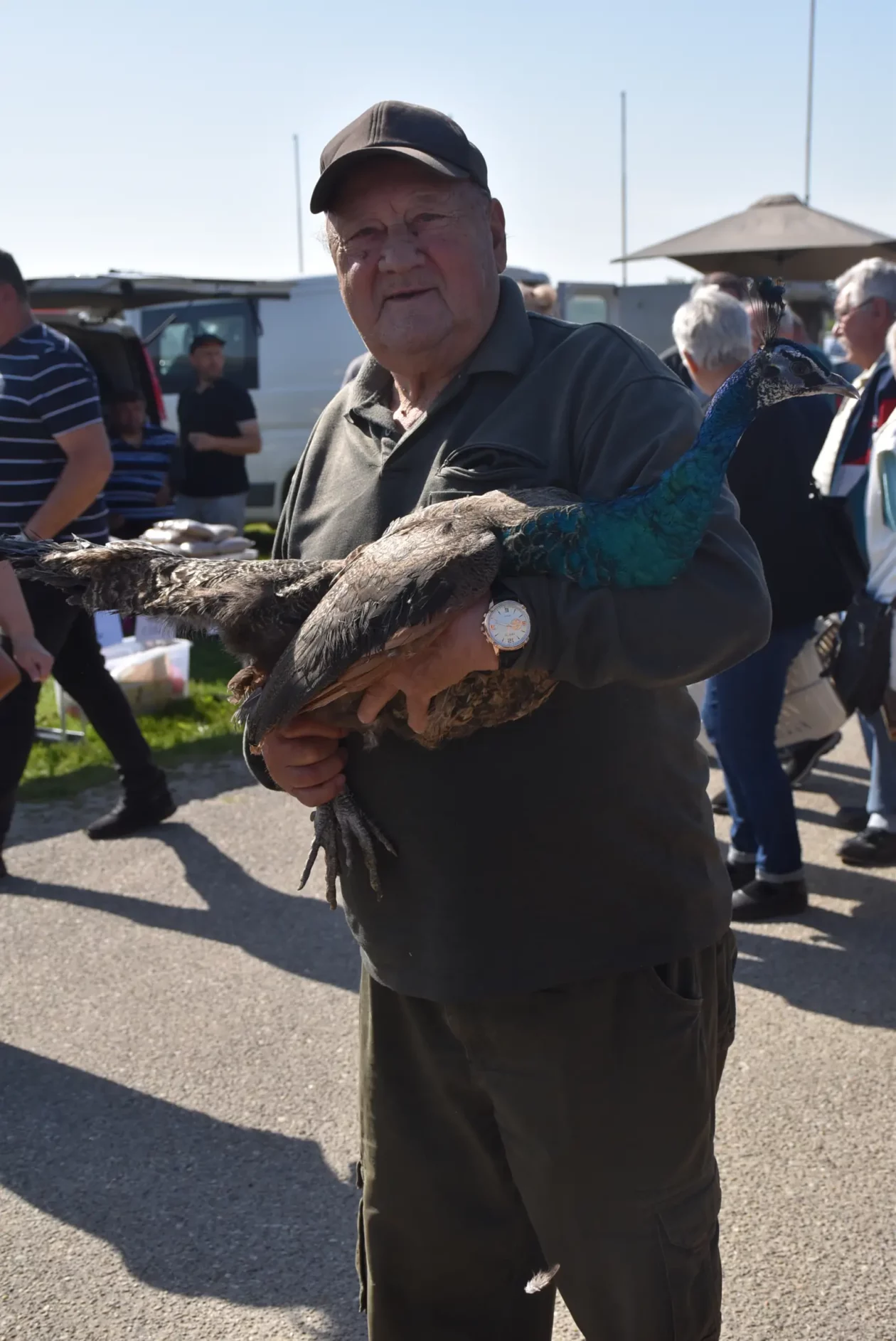 Male životinje, Mesap, Nedelišće (26)