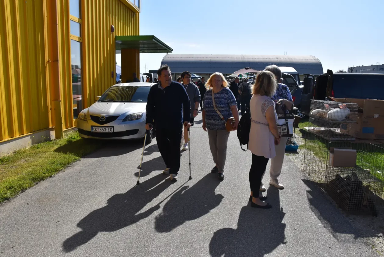 Male životinje, Mesap, Nedelišće (36)