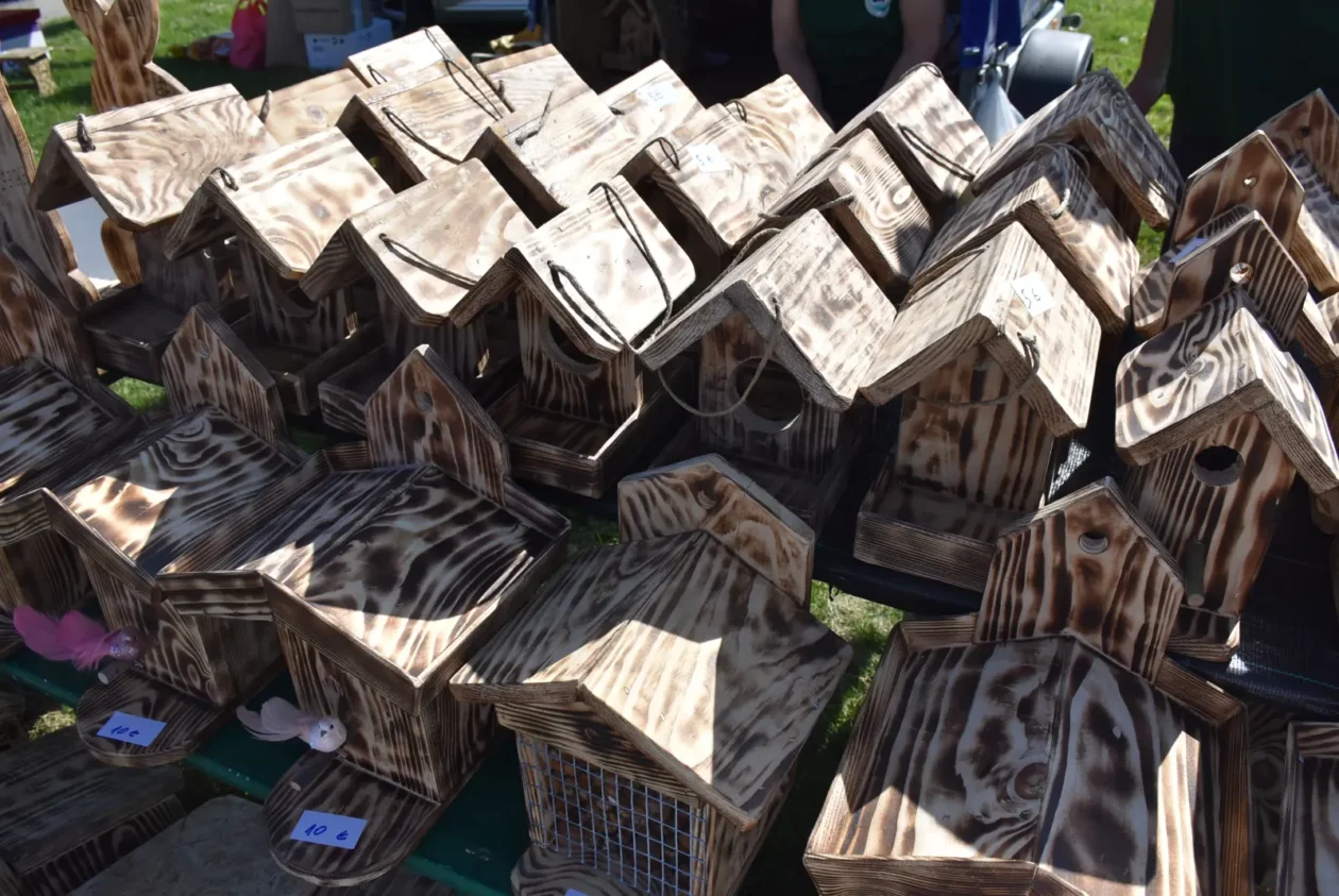 Male životinje, Mesap, Nedelišće (38) Male životinje, Mesap, Nedelišće (38)