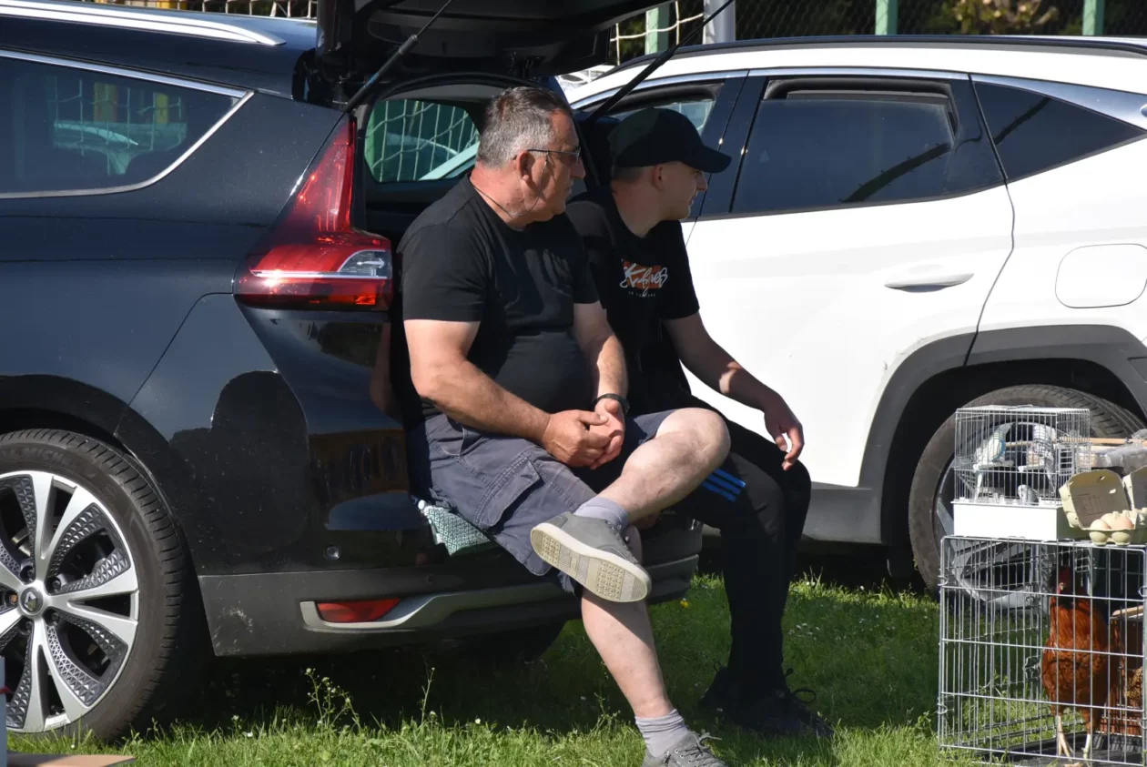 Male životinje, Mesap, Nedelišće (6)