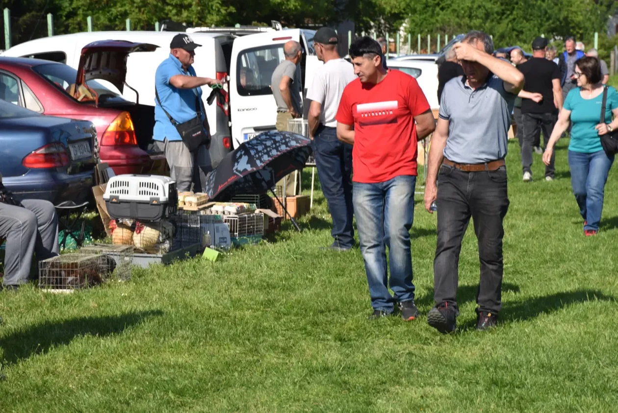 Male životinje, Mesap, Nedelišće (7)