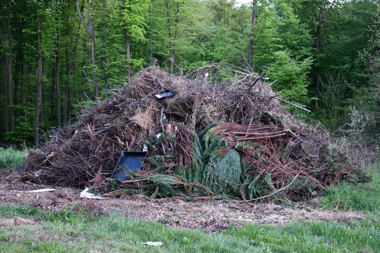 Mali Mihaljevec, vuzmenka 2025 (26)