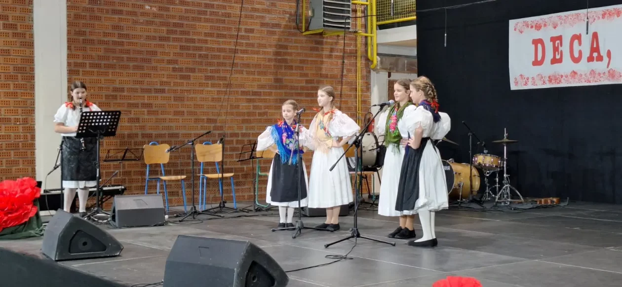 Mali čuvari, Donja Dubrava, Deca moja deca (31)