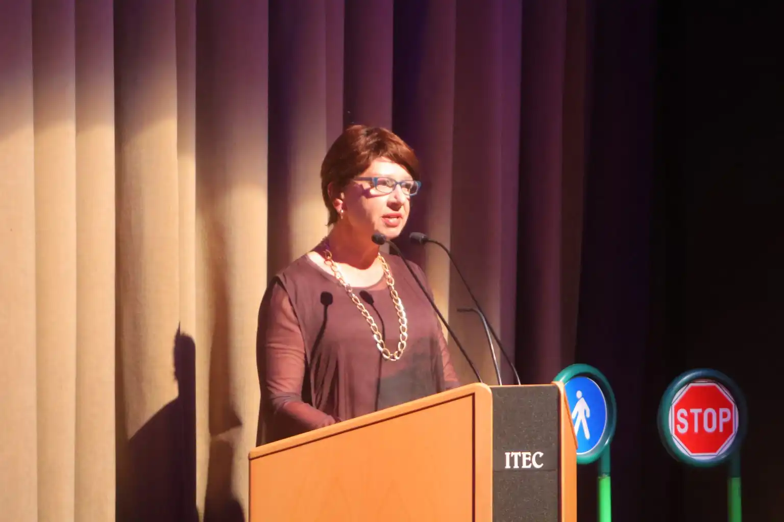 Mali maturanti Dječjeg vrtića Cipelica (14)