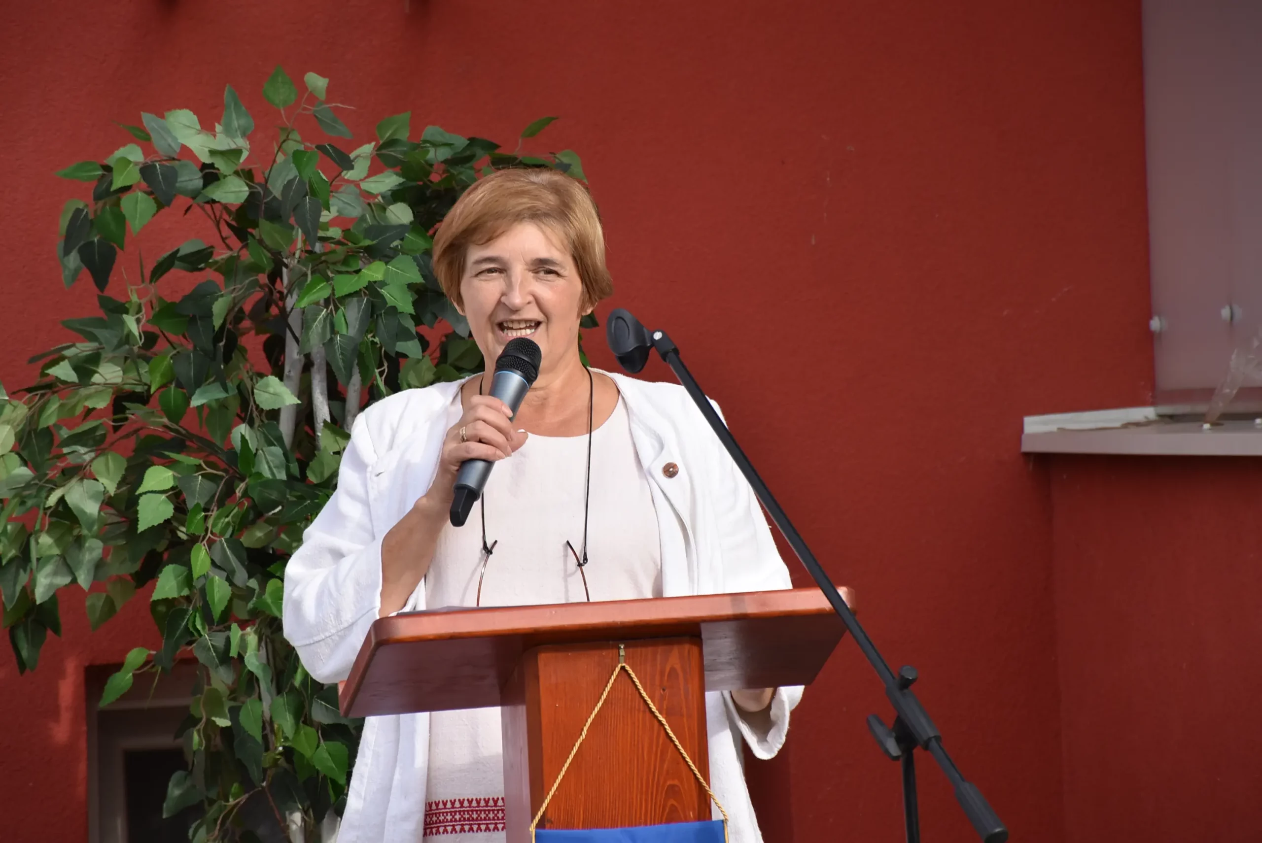 “Mamičina škrija” u Gornjem Kraljevcu 2024 (46) “Mamičina škrija” u Gornjem Kraljevcu 2024 (46)