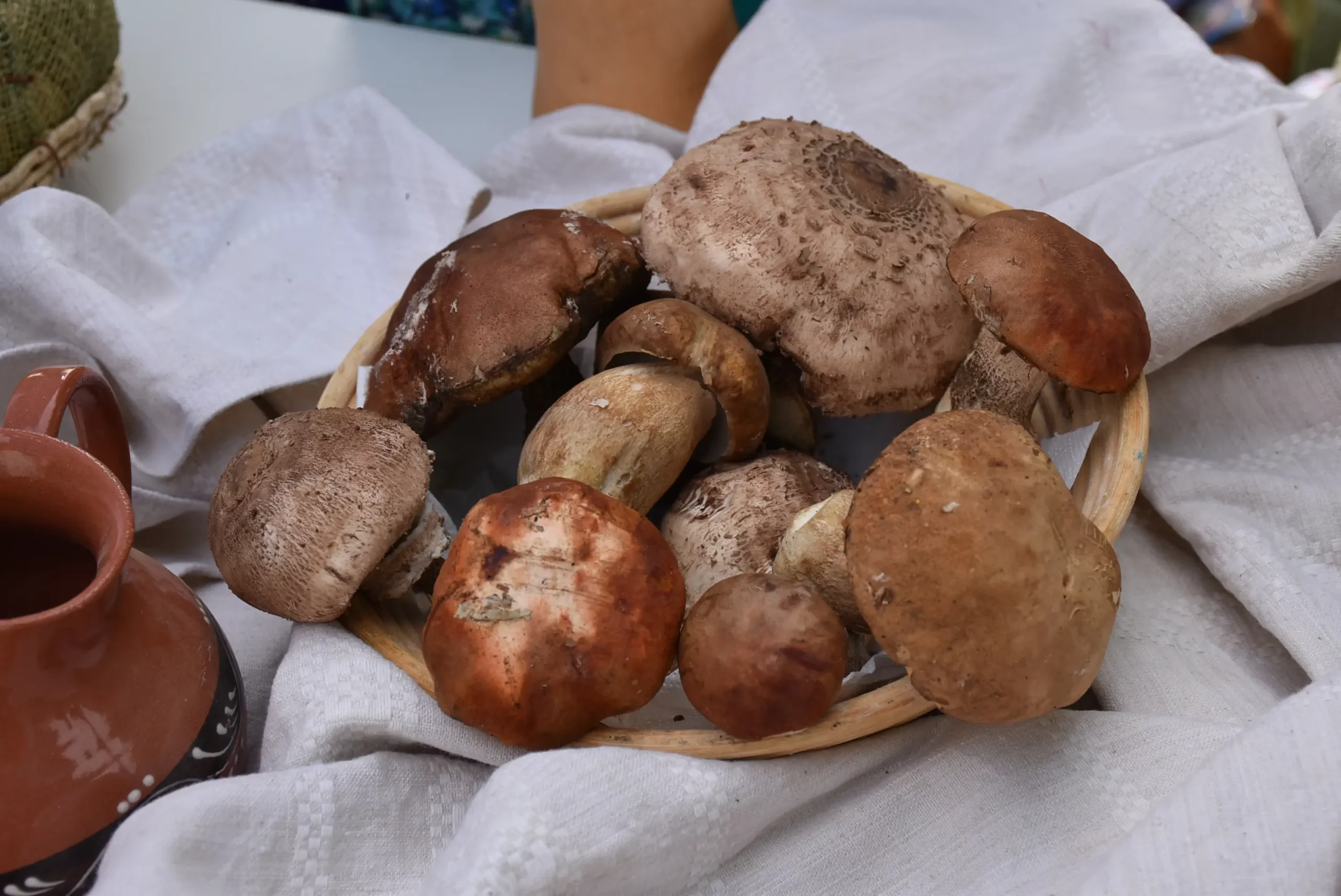 “Mamičina škrija” u Gornjem Kraljevcu 2024 (63) “Mamičina škrija” u Gornjem Kraljevcu 2024 (63)