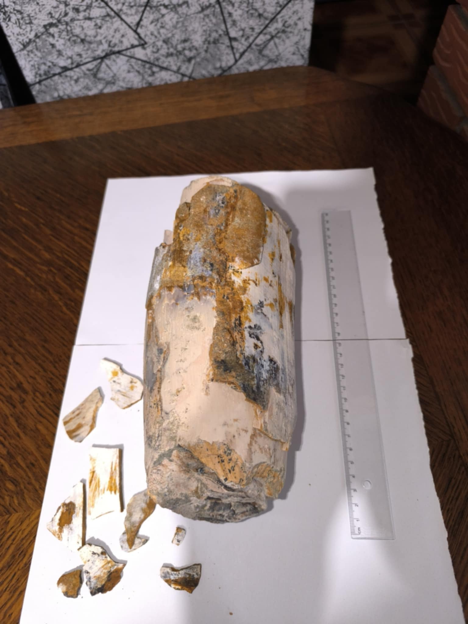 Mamutova kljova Vedran Zdelar 1