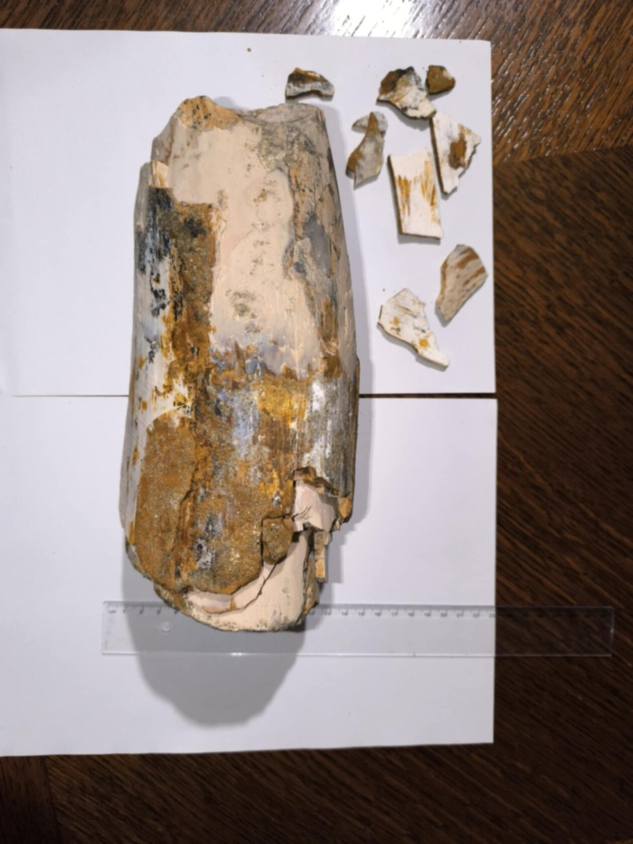 Mamutova kljova Vedran Zdelar 4