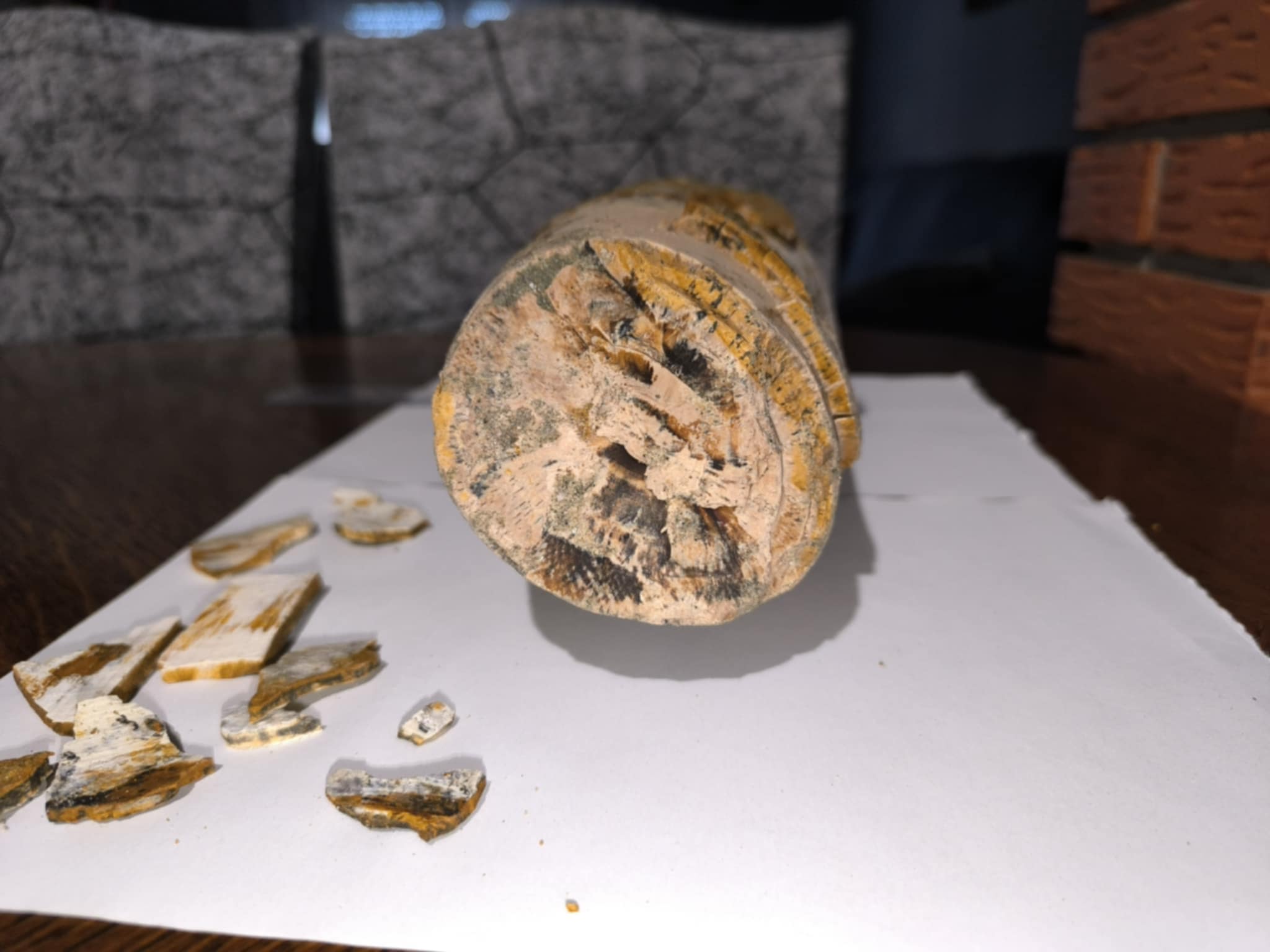 Mamutova kljova Vedran Zdelar 5