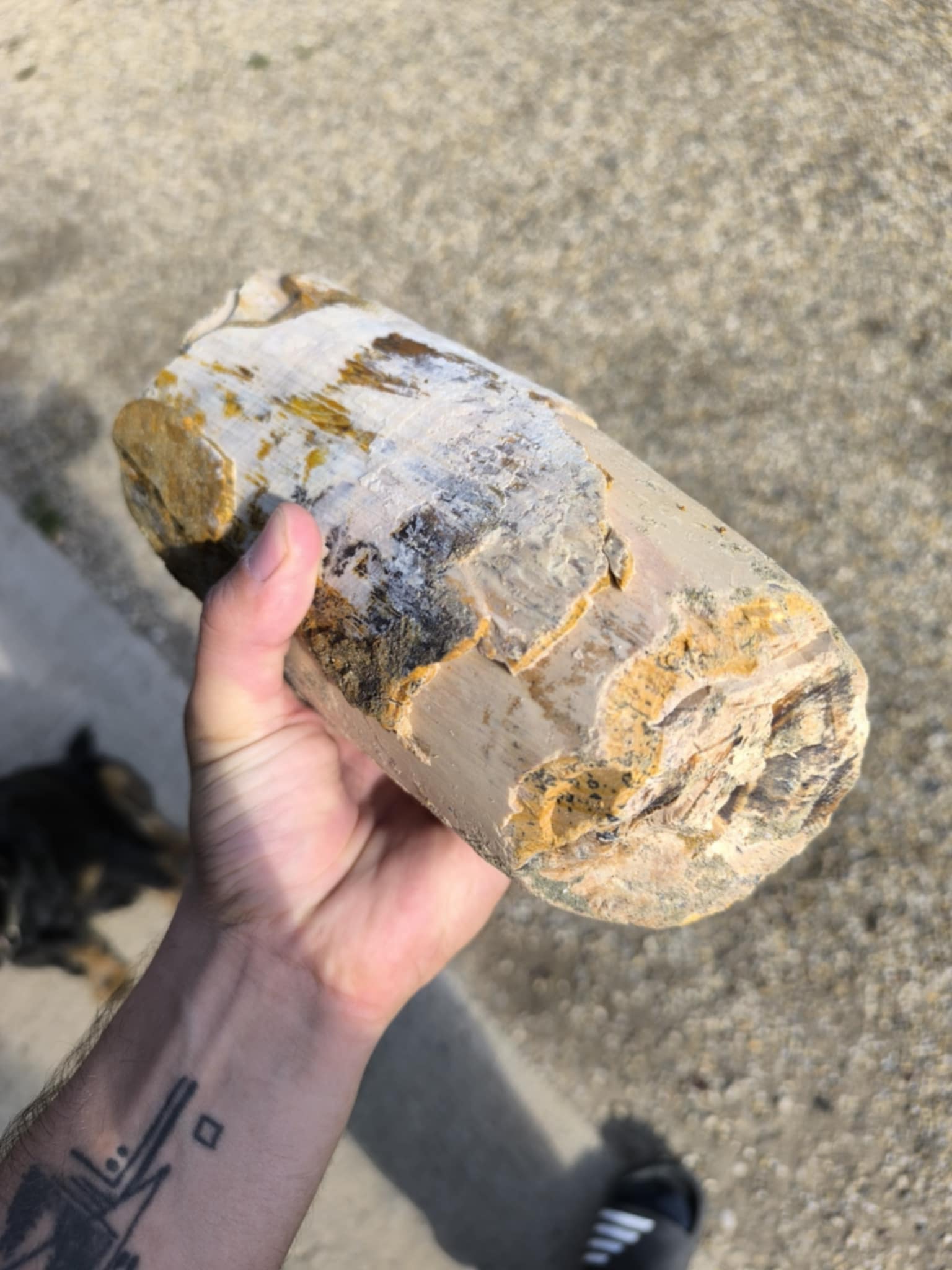 Mamutova kljova Vedran Zdelar 6