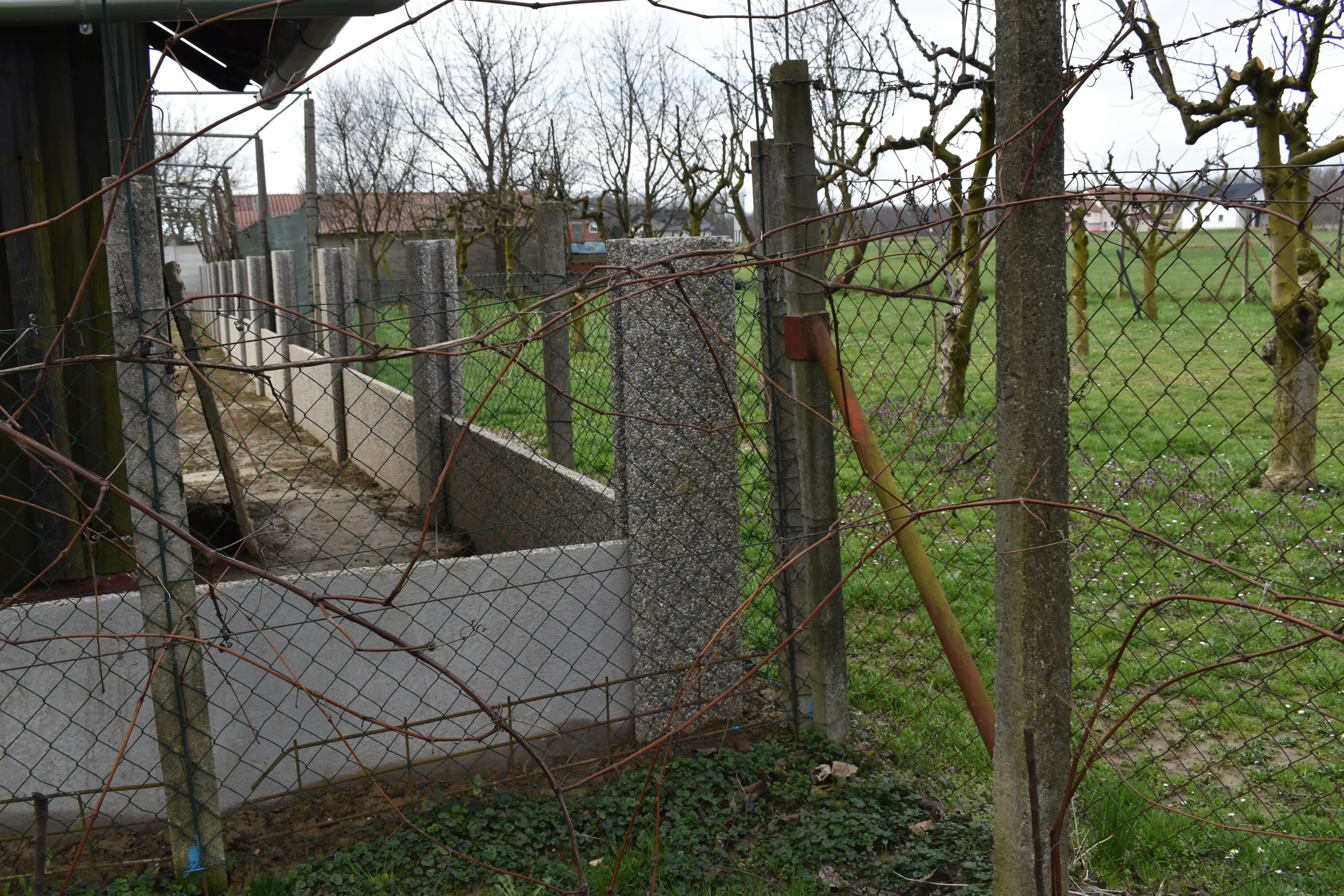 Manuela Gavez Slemenice (8) Manuela Gavez Slemenice (8)