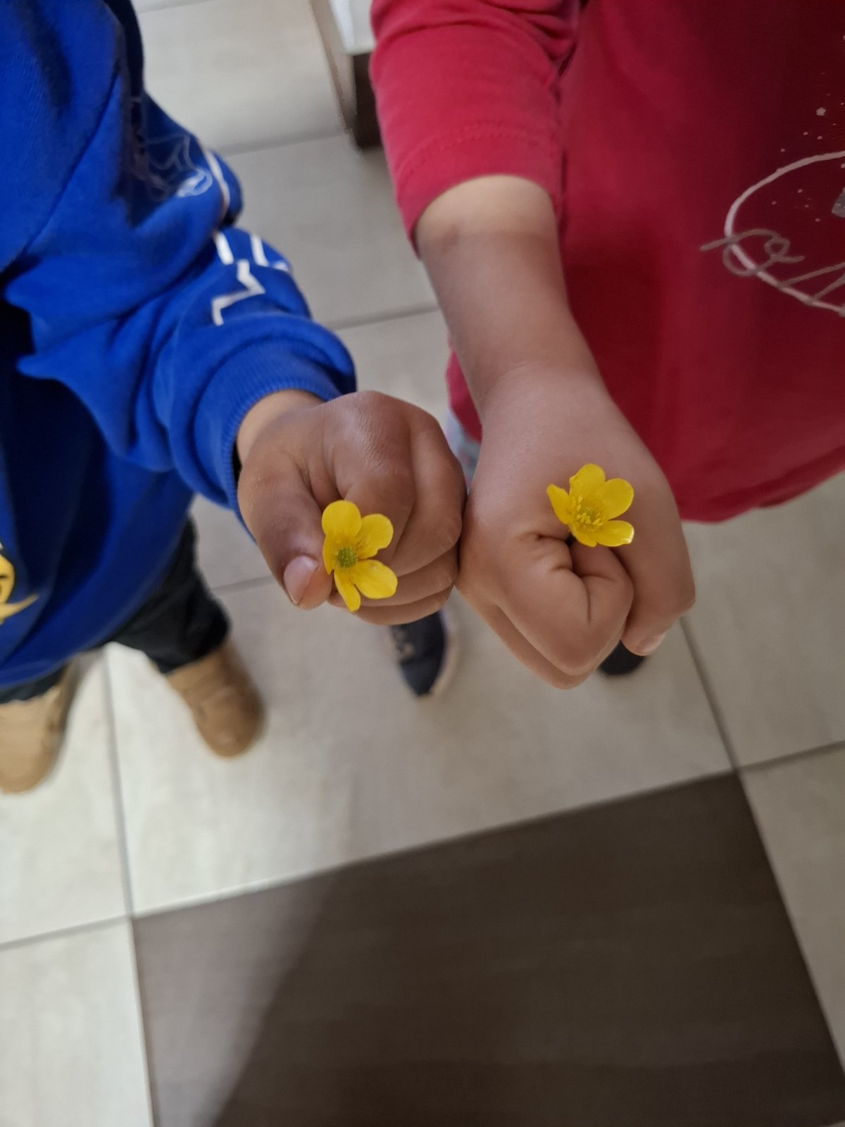 Manuela Višnjić, Ivanovec