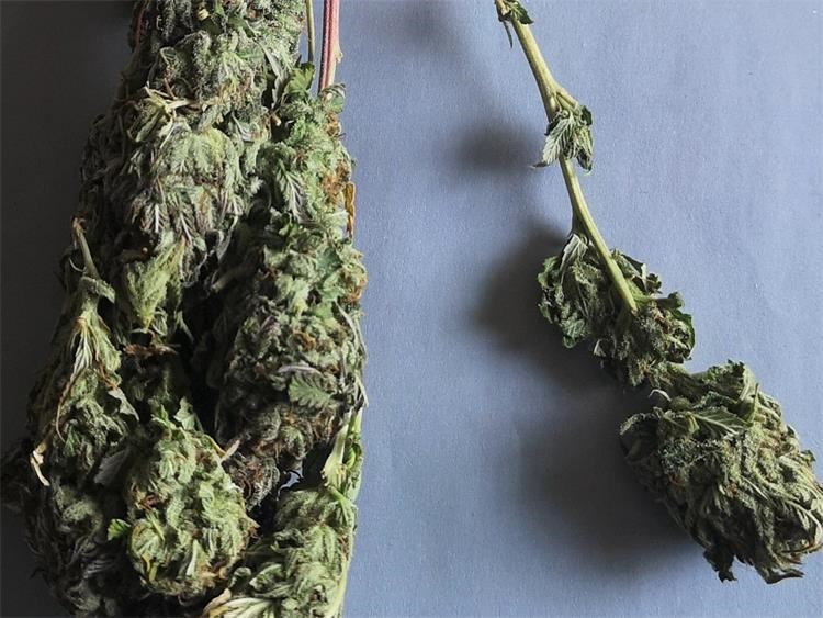 Marihuana 3 – doga Marihuana 3 – doga