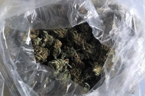 Marihuana ilustracija