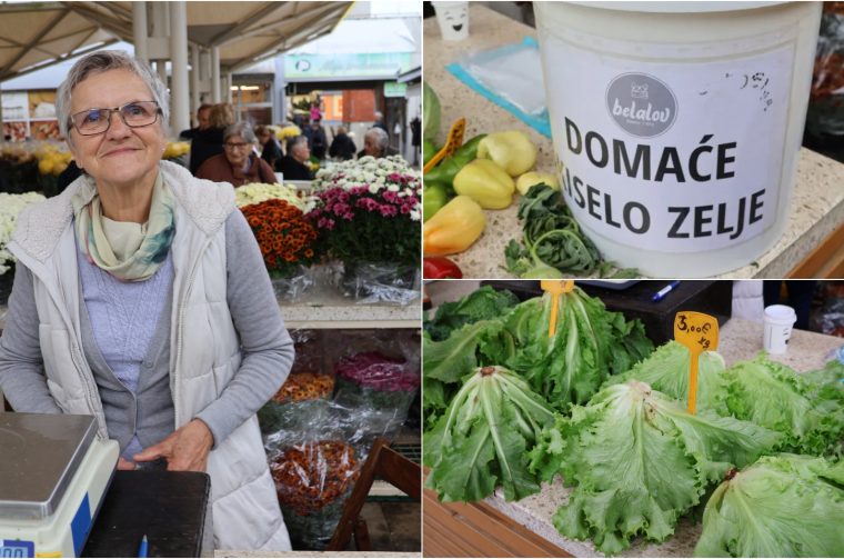 Marija Belalov, Čakovec, naslovna, kiselo zelje Marija Belalov, Čakovec, naslovna, kiselo zelje