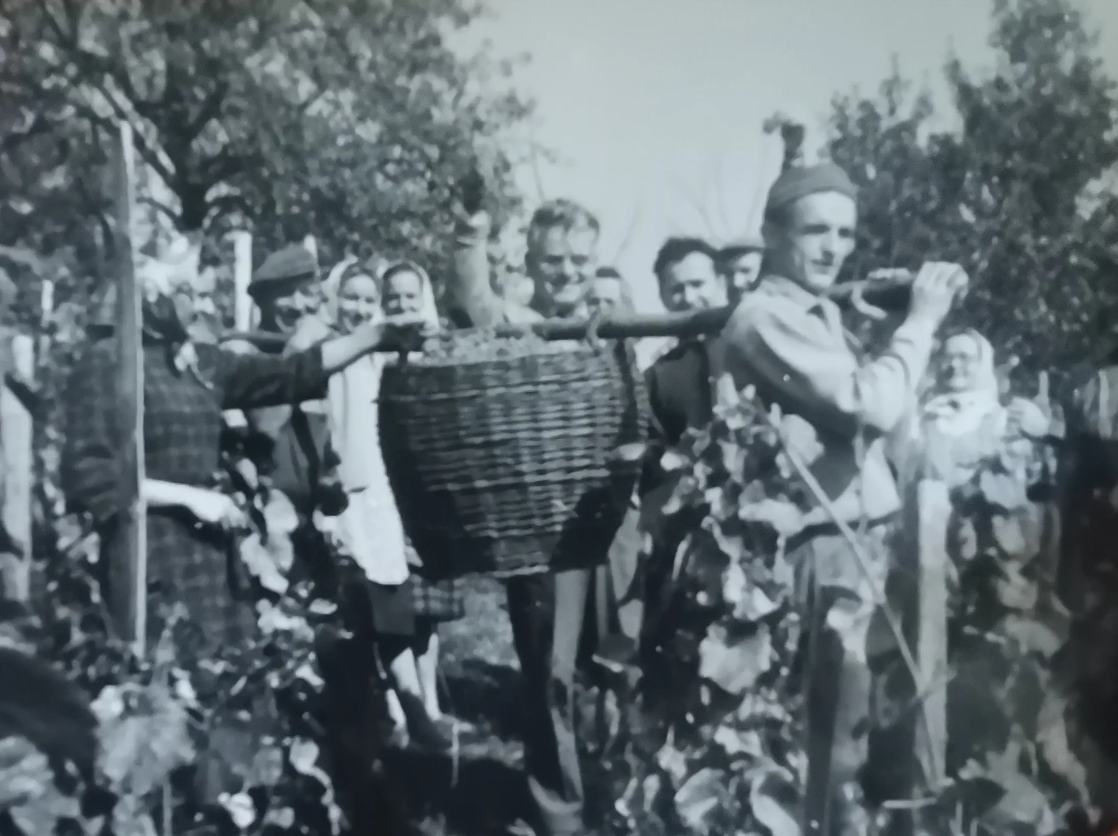 Marija Tomašić – Majerić breg (2) Marija Tomašić – Majerić breg (2)