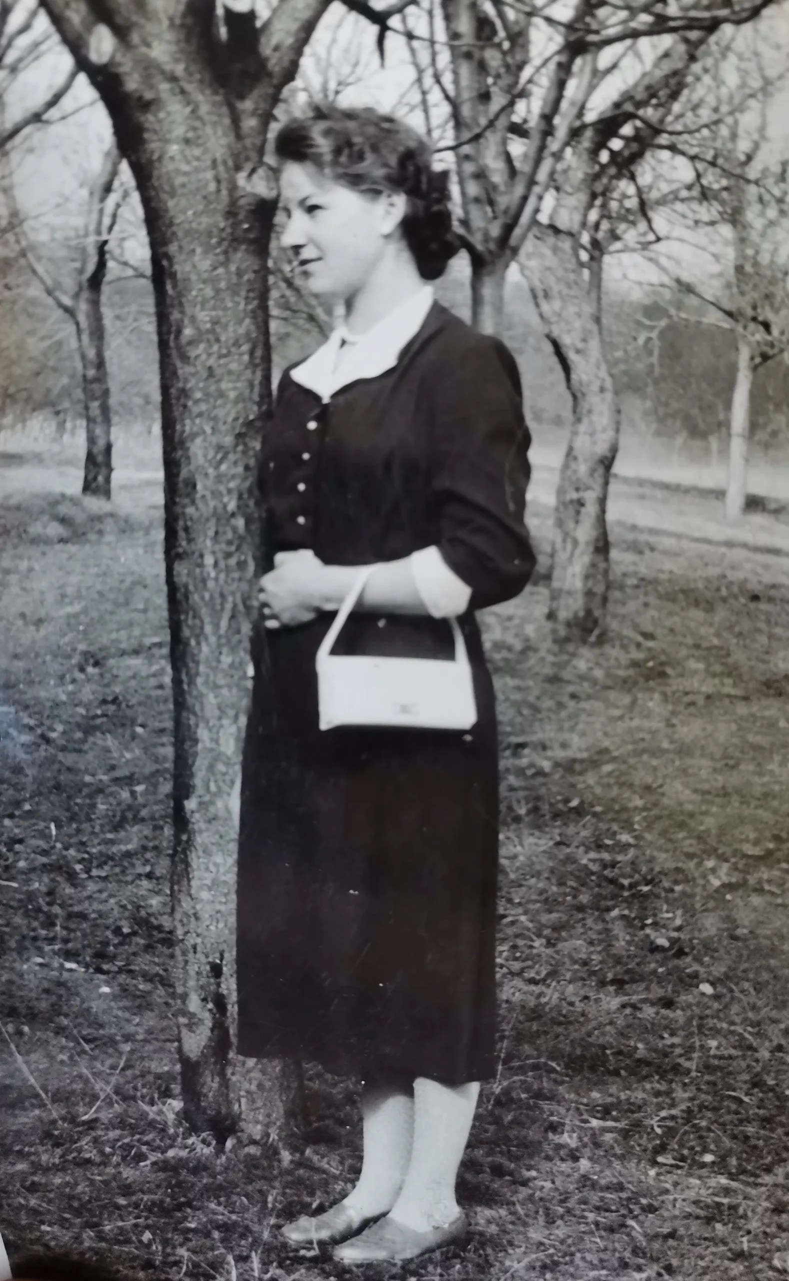 Marija Tomašić – Majerić breg (4) Marija Tomašić – Majerić breg (4)