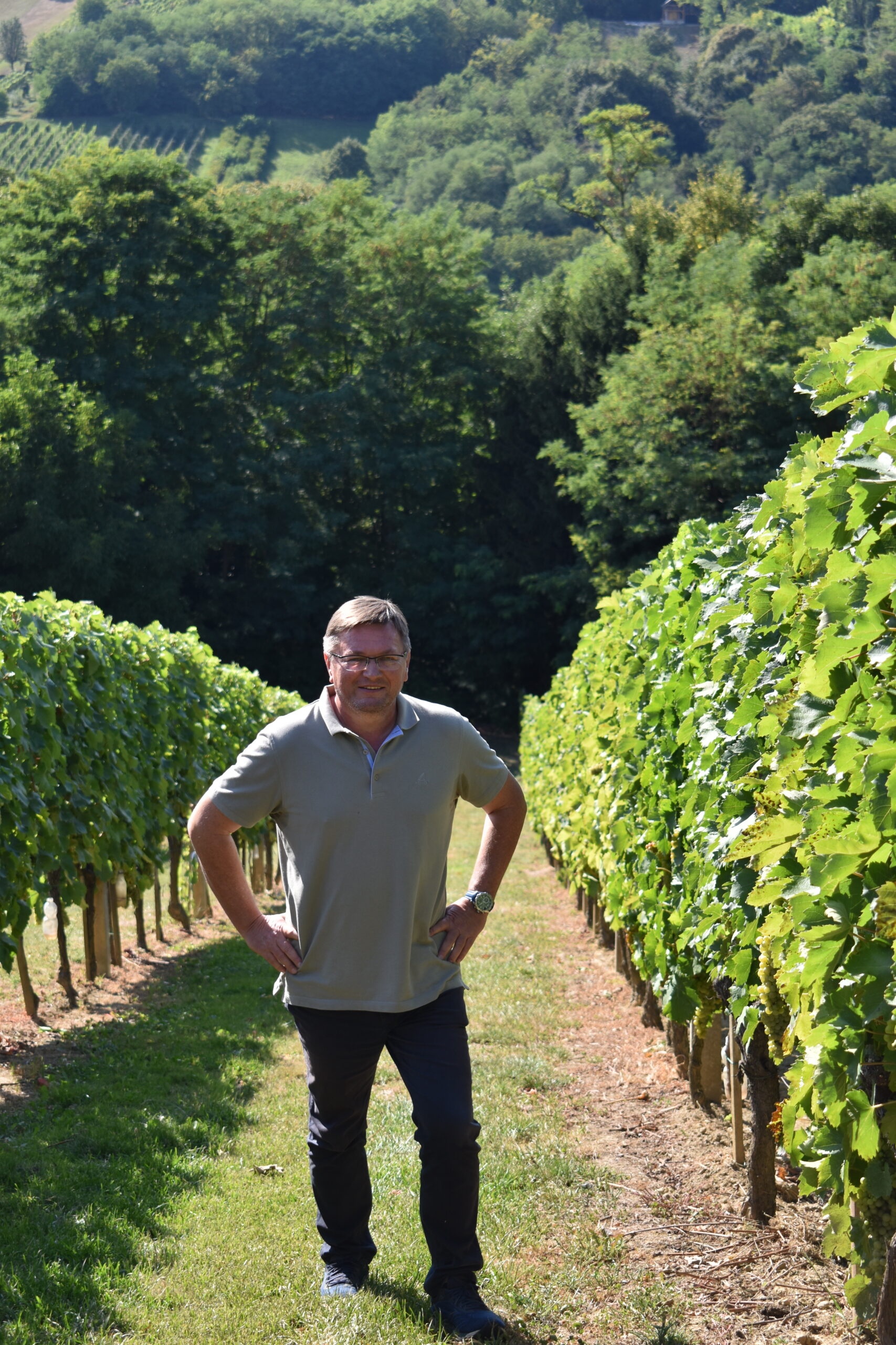 Marijan Čižmešija (1)