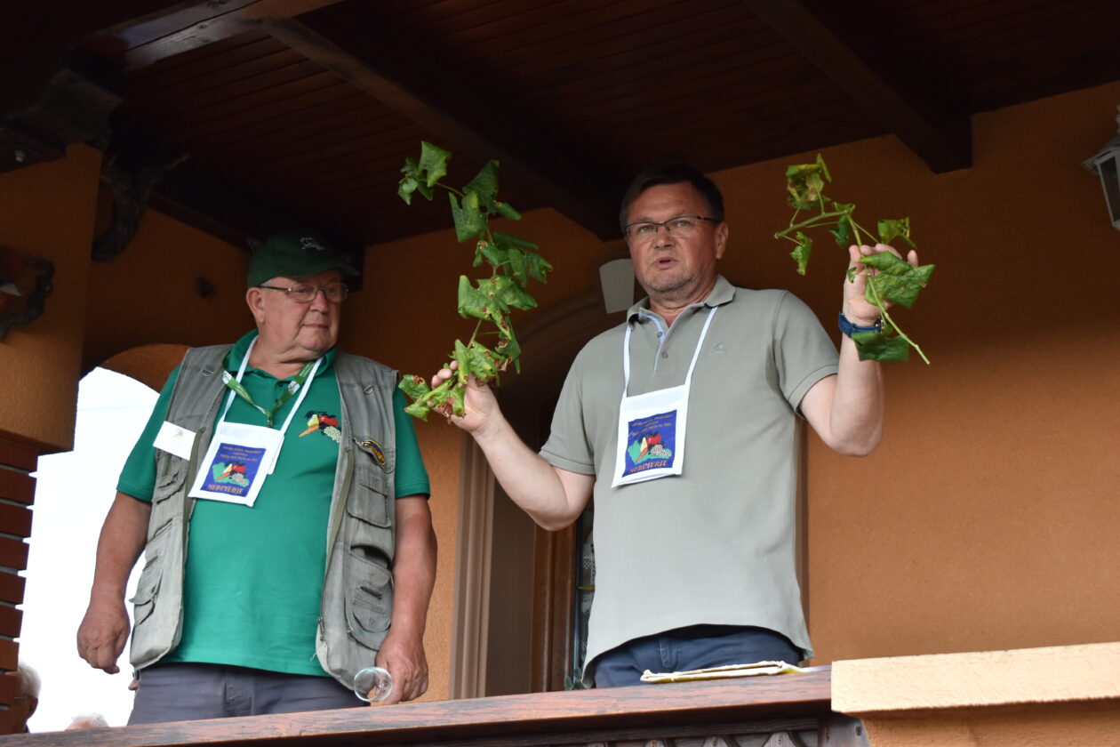 Marijan Čižmešija (3)