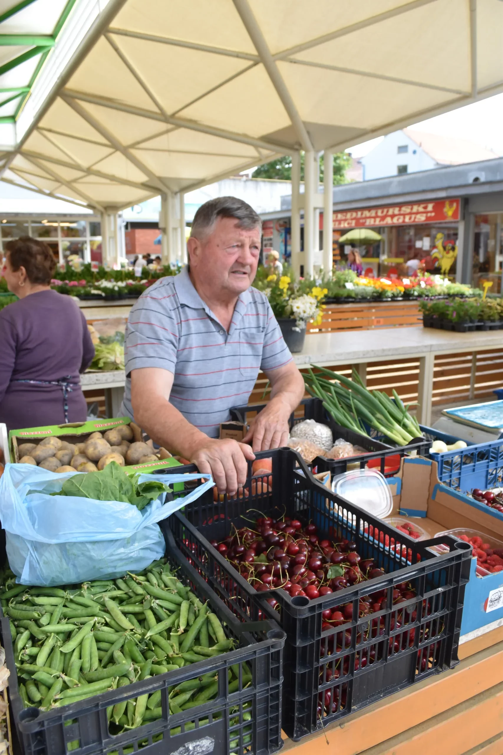 Marijan Podvez, trešnje (2) Marijan Podvez, trešnje (2)