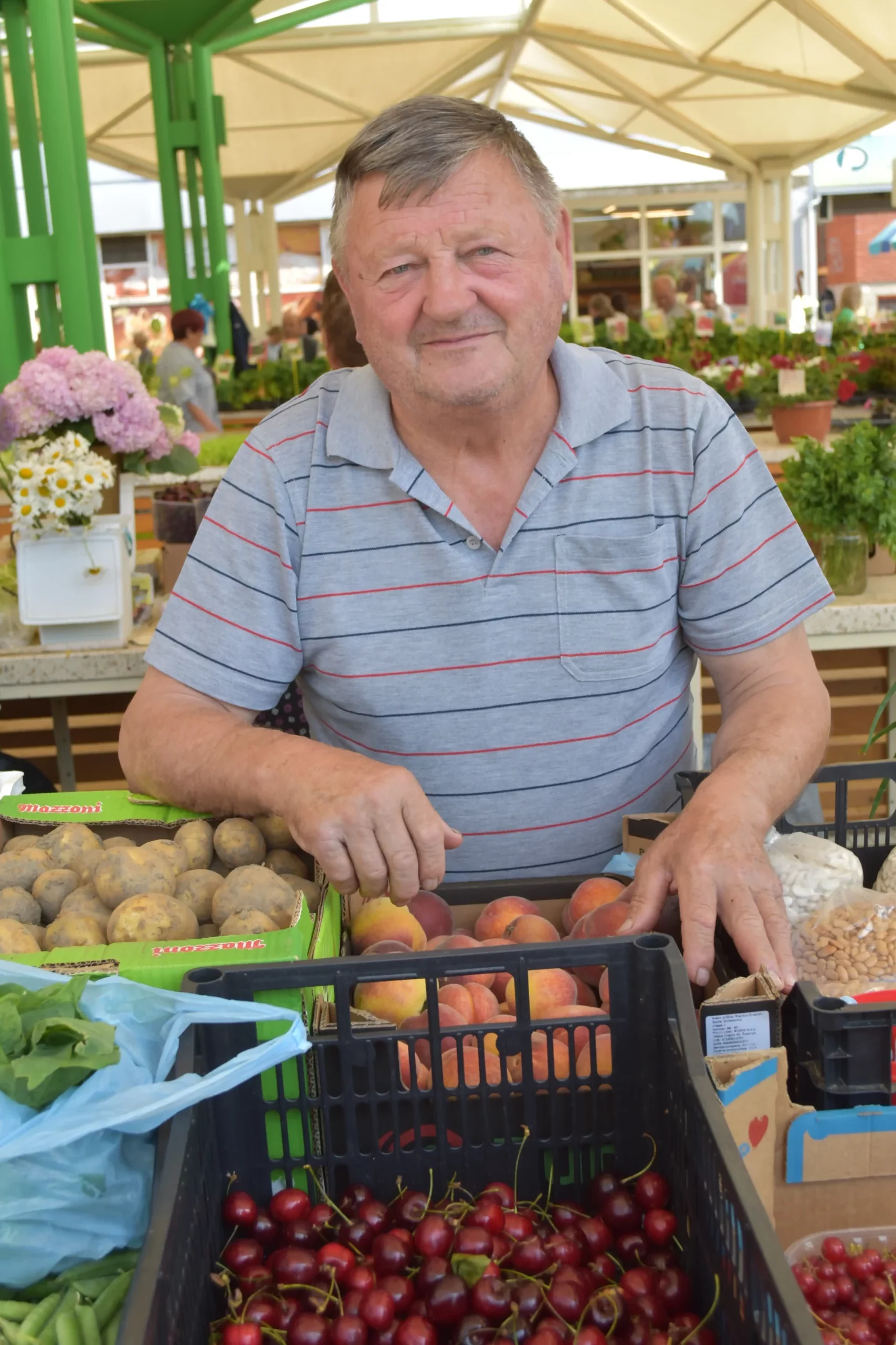 Marijan Podvez, trešnje (4) Marijan Podvez, trešnje (4)