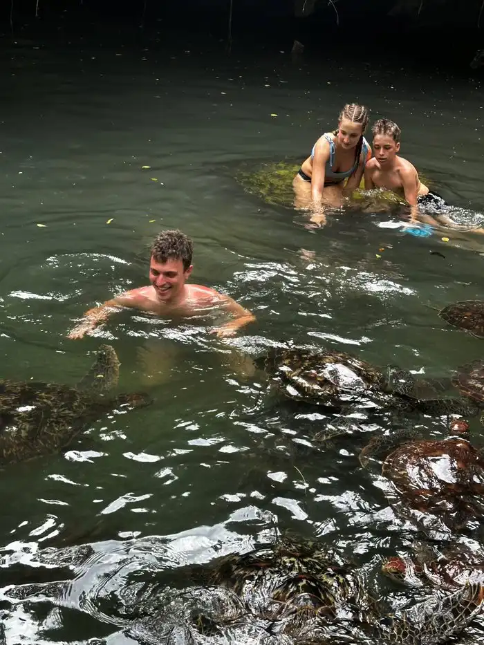 Marin Bogdanić (6) Marin Bogdanić (6)