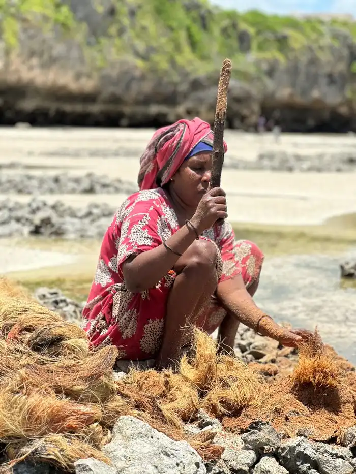 Marin Bogdanić (8) Marin Bogdanić (8)