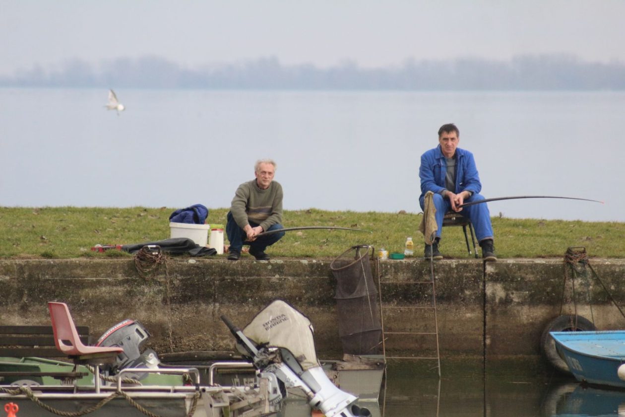 Marina Prelog 8.2 (15)