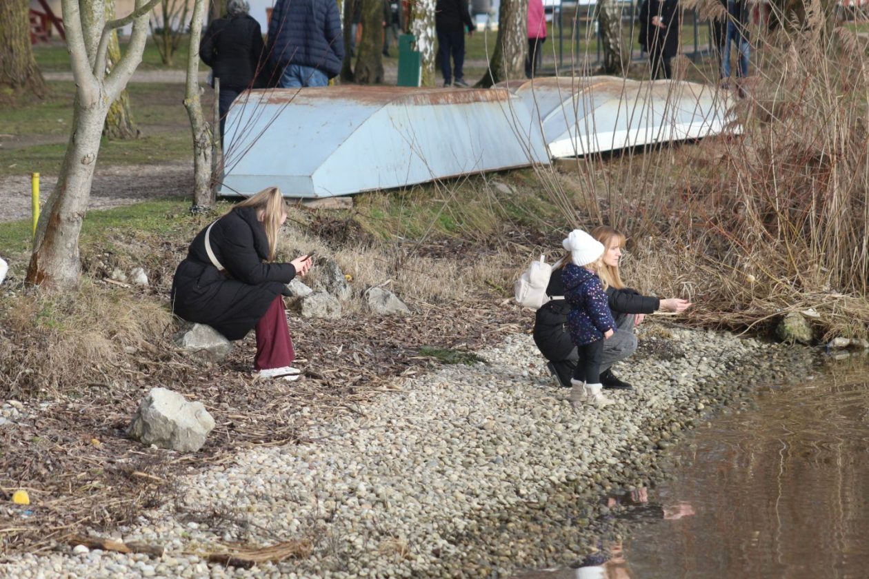 Marina Prelog 8.2 (28)