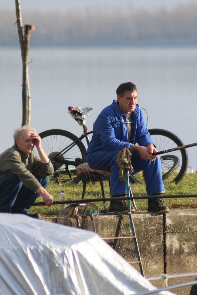 Marina Prelog 8.2 (29)