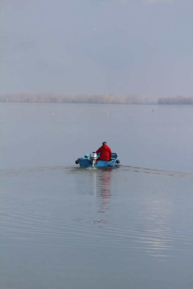 Marina Prelog 8.2 (30)