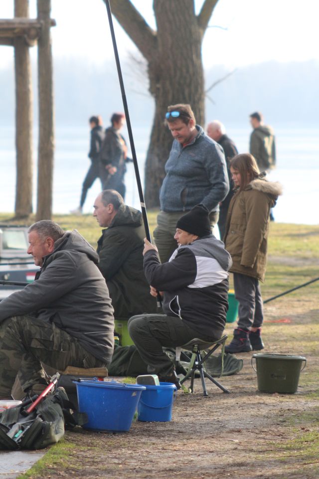 Marina Prelog 8.2 (31)