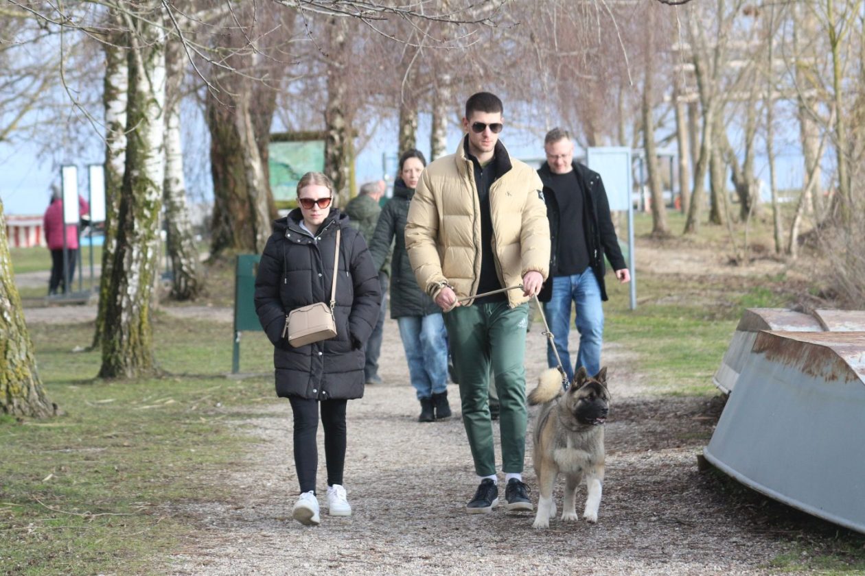 Marina Prelog 8.2 (8)